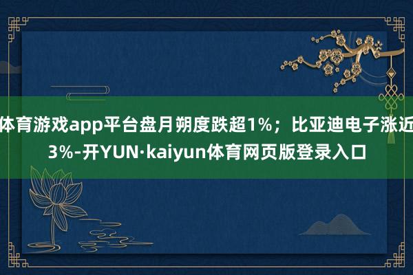 体育游戏app平台盘月朔度跌超1%；比亚迪电子涨近3%-开YUN·kaiyun体育网页版登录入口