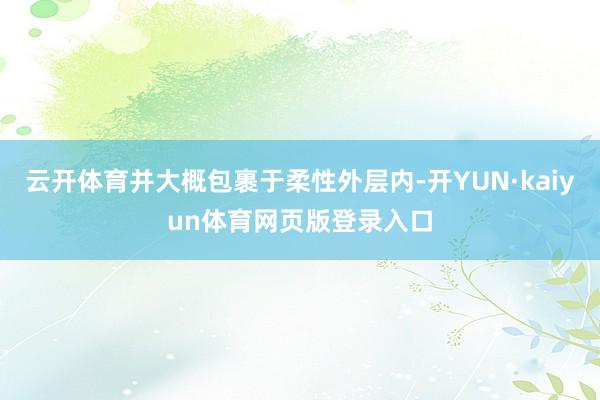 云开体育并大概包裹于柔性外层内-开YUN·kaiyun体育网页版登录入口